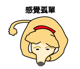 old A-di dog sticker #13709862