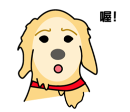 old A-di dog sticker #13709864