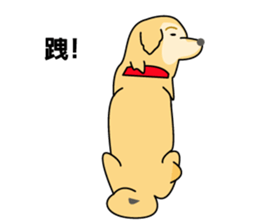 old A-di dog sticker #13709865