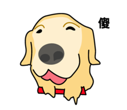 old A-di dog sticker #13709866