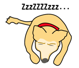 old A-di dog sticker #13709867