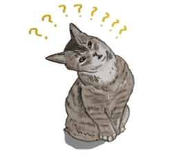 CAT REAL sticker #13710128