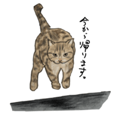 CAT REAL sticker #13710130