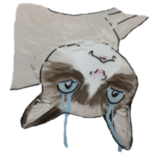 CAT REAL sticker #13710131