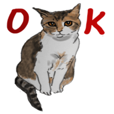 CAT REAL sticker #13710132