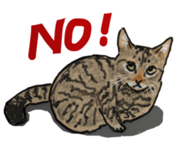 CAT REAL sticker #13710133