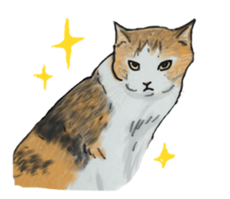 CAT REAL sticker #13710135