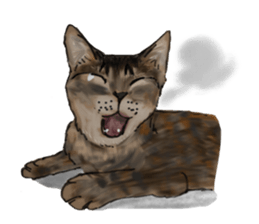 CAT REAL sticker #13710139