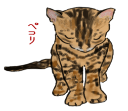 CAT REAL sticker #13710142