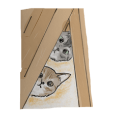 CAT REAL sticker #13710143