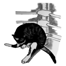 CAT REAL sticker #13710145