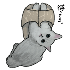 CAT REAL sticker #13710146