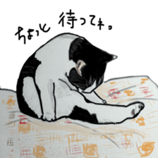 CAT REAL sticker #13710148