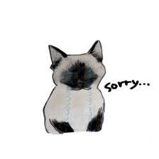 CAT REAL sticker #13710149