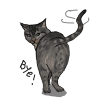 CAT REAL sticker #13710152