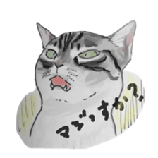 CAT REAL sticker #13710154