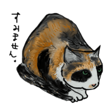 CAT REAL sticker #13710156