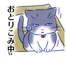 Tsundere cat harukiti sticker #13712449