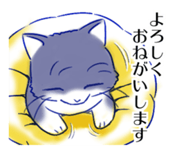 Tsundere cat harukiti sticker #13712466