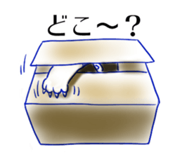 Tsundere cat harukiti sticker #13712473