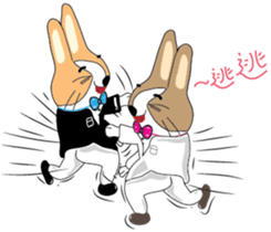 Dumbfounded rabbit sticker #13712646