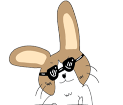 Dumbfounded rabbit sticker #13712658