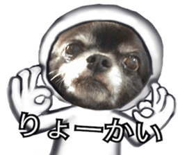 ROKU is a smart dog. sticker #13713934