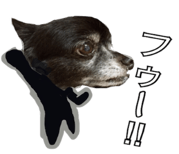 ROKU is a smart dog. sticker #13713935