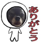 ROKU is a smart dog. sticker #13713936