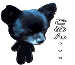 ROKU is a smart dog. sticker #13713937