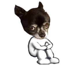 ROKU is a smart dog. sticker #13713940