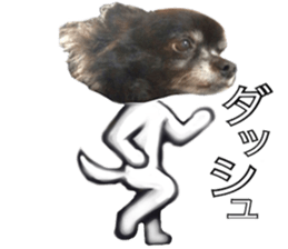 ROKU is a smart dog. sticker #13713942