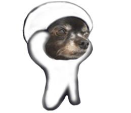 ROKU is a smart dog. sticker #13713945