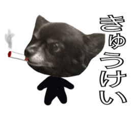 ROKU is a smart dog. sticker #13713947