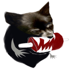 ROKU is a smart dog. sticker #13713949