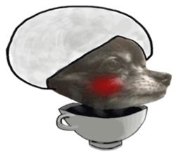 ROKU is a smart dog. sticker #13713950