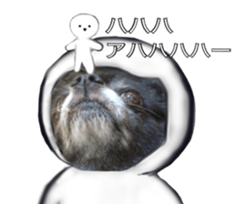 ROKU is a smart dog. sticker #13713956