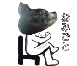 ROKU is a smart dog. sticker #13713958