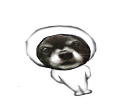 ROKU is a smart dog. sticker #13713959