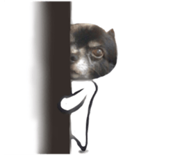 ROKU is a smart dog. sticker #13713960