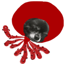 ROKU is a smart dog. sticker #13713963