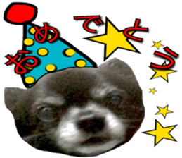 ROKU is a smart dog. sticker #13713964