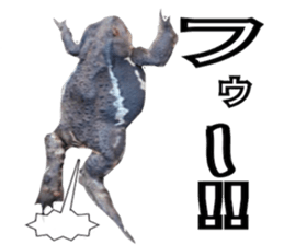 ROKU is a smart dog. sticker #13713965