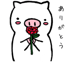 pigpam2 sticker #13714121