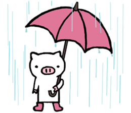 pigpam2 sticker #13714137