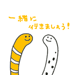 Rabbit,Cat,Sea creatures