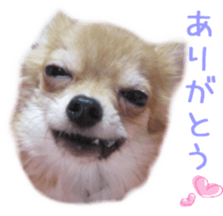 Sticker of Cereza sticker #13716382