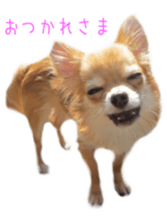 Sticker of Cereza sticker #13716383