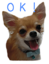 Sticker of Cereza sticker #13716384