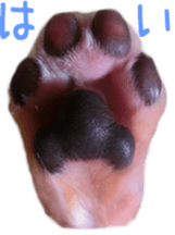 Sticker of Cereza sticker #13716385